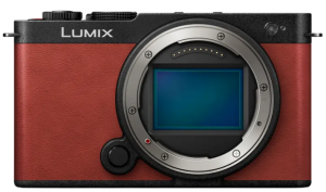 Panasonic Lumix DC-S9NE-R