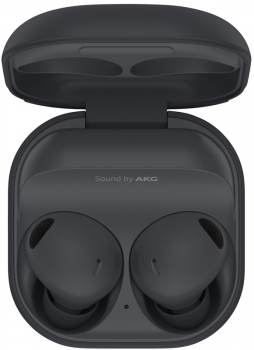 Samsung Galaxy Buds 2 Pro Grey